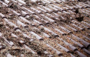 Upthorpe roof cleaning companies